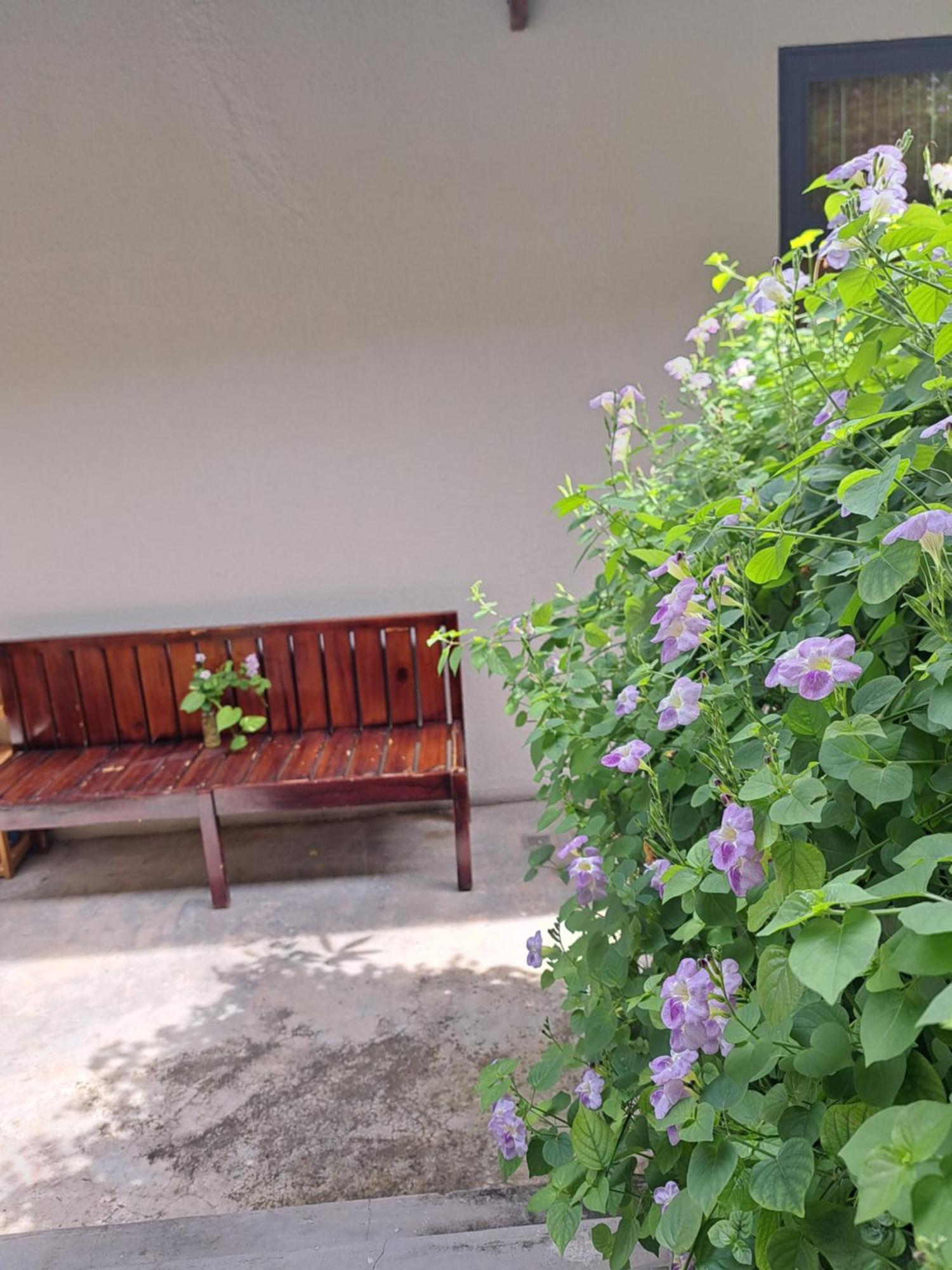Golden Lotus Spa & Homestay Ap Thien Phuoc Esterno foto