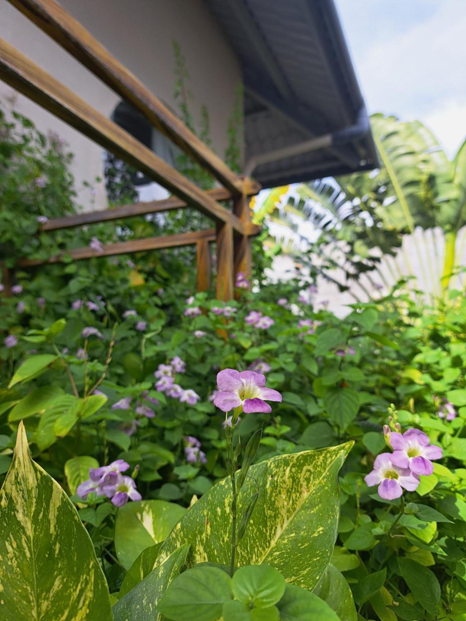 Golden Lotus Spa & Homestay Ap Thien Phuoc Esterno foto